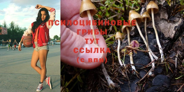 не бодяженный Алзамай