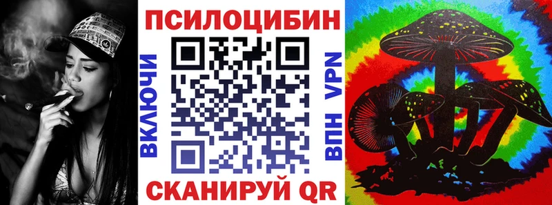 Псилоцибиновые грибы MAGIC MUSHROOMS  где купить наркоту  Игра 